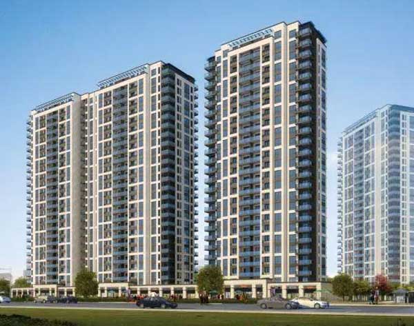 �����Є��ð��÷��(xi��ng)Ŀ